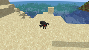 Arachnid Ascendency