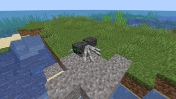 Arachnid Ascendency