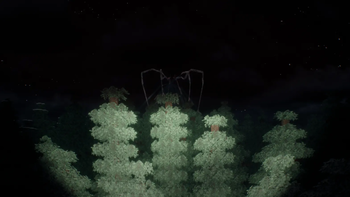 Aranearum Fame