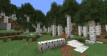 Arboria: Biome Enhancement