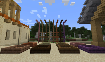 Architecture Extensions