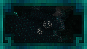 Arda's Sculks (Ancient City Portal / Deep Dark Dimension)