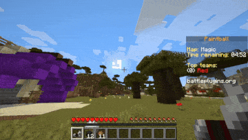 ArenaPaintball
