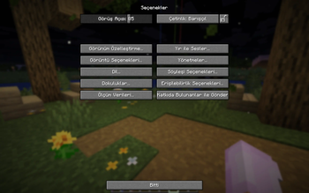 Arı Türkçe Yama