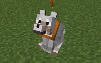 Armored Collars