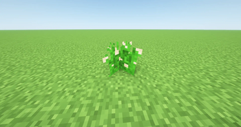 Arox's Favorite Mod