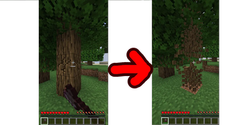 Asafusa's Tree Vein