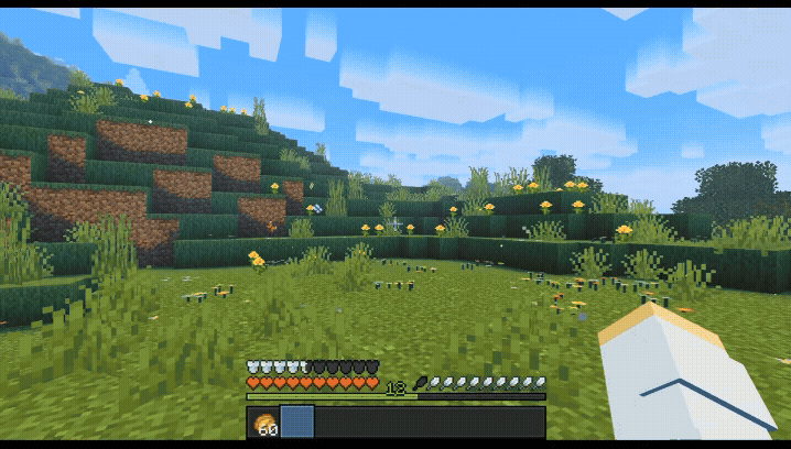 +Immersive Vanilla