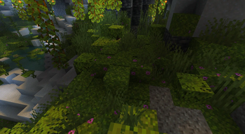 +Immersive Vanilla