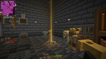 (Not A) Bee SMP