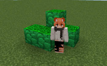 AshenOG's Green Debris!