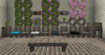 Ashy Gray Acacia