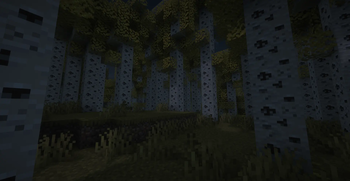 Aspen Grove