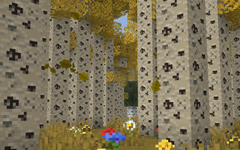 Aspen Grove