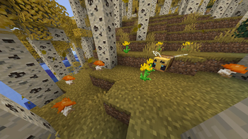 Aspen Grove
