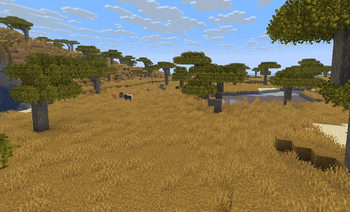 Assets Improved