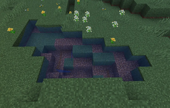 Assets Improved