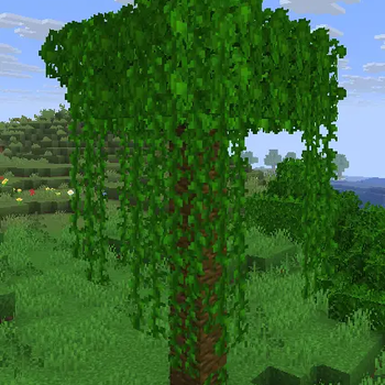 Assets Improved