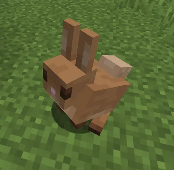 Assets Improved