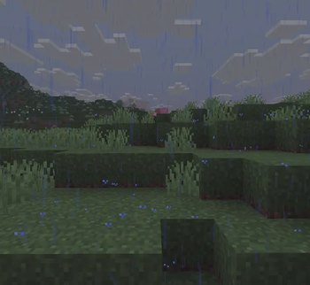 Assets Improved