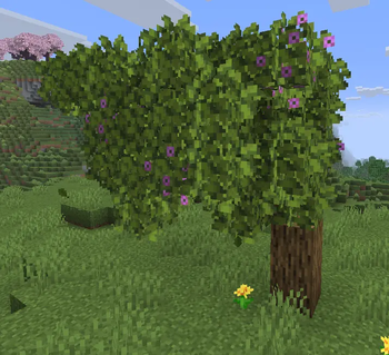 Assets Improved