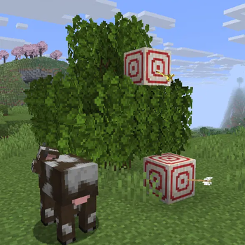 Assets Improved