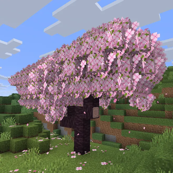Assets Improved