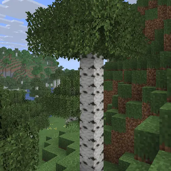 Assets Improved