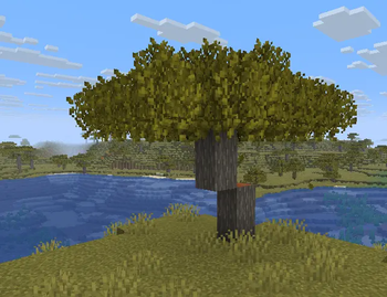 Assets Improved