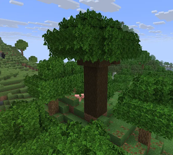 Assets Improved