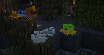 Assorted Frogs