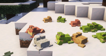 Assorted Frogs