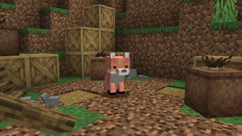 Astra's Amazing Foxes