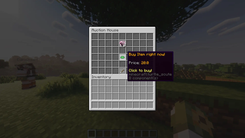 Auction House Plugin