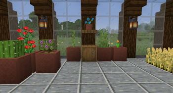 Aurora's Decorations