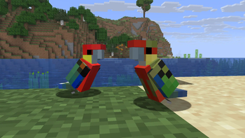 Aussie Parrots