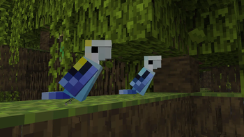 Aussie Parrots