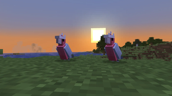 Aussie Parrots