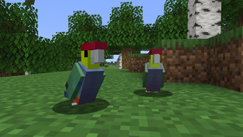 Aussie Parrots