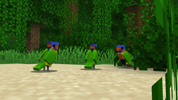 Aussie Parrots