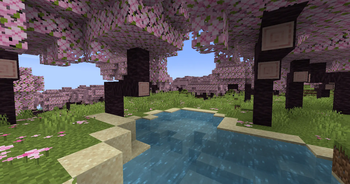 Austin's Biomes Expansion