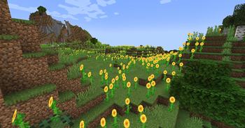 Austin's Biomes Expansion
