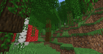 Austin's Biomes Expansion