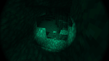 Authentic Night Vision