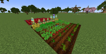 autoplanter