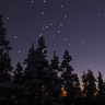 Zephyr Starlight