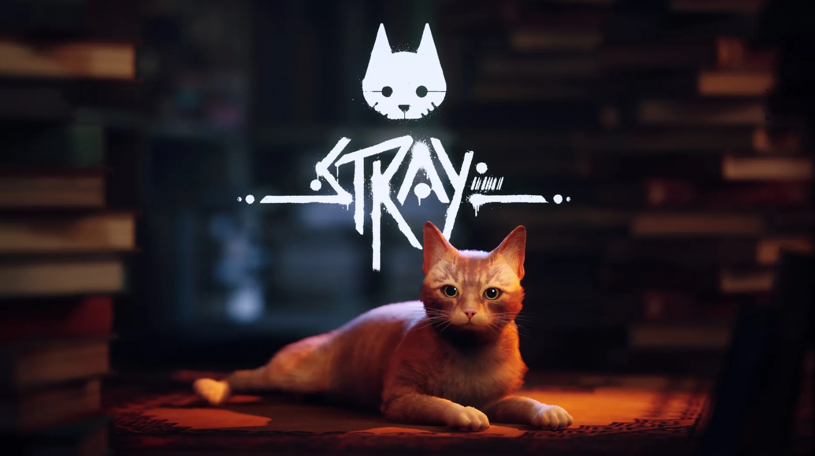 Stray System Requirements