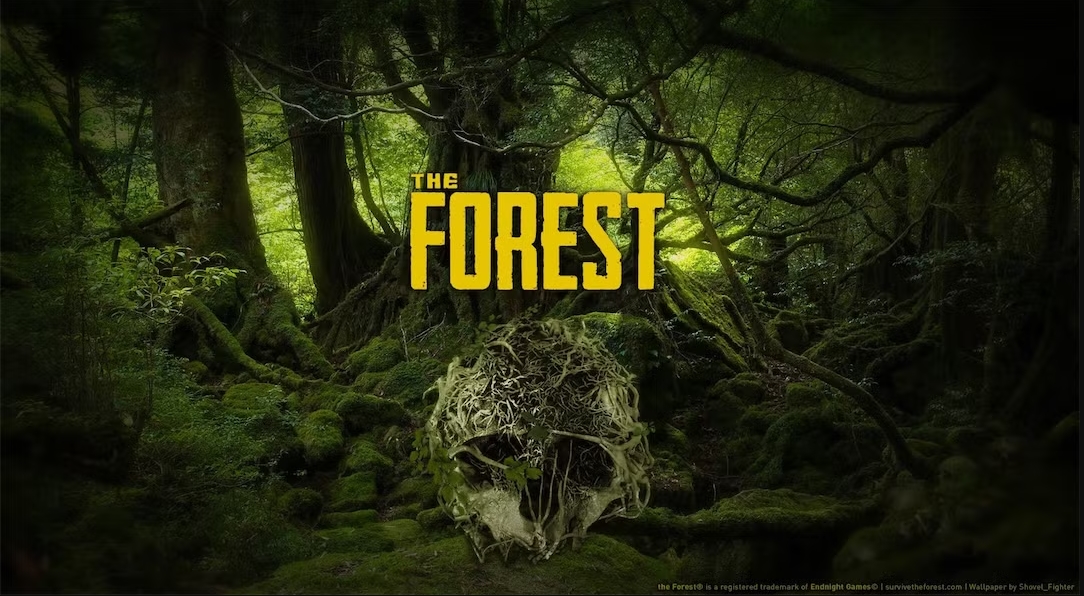 The Forest