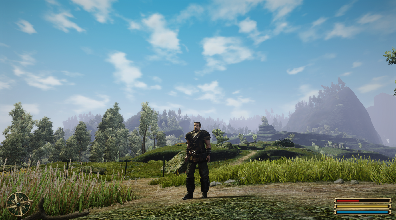 Gothic 3 hero in the field