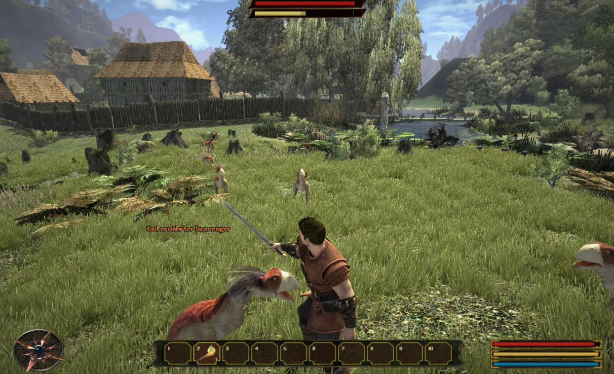Gothic 3 hero with sword and animals